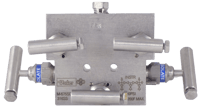 PGI Int'l Five-Valve Manifold